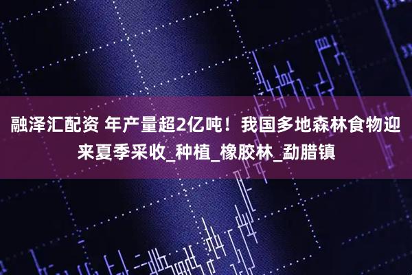 融泽汇配资 年产量超2亿吨！我国多地森林食物迎来夏季采收_种植_橡胶林_勐腊镇