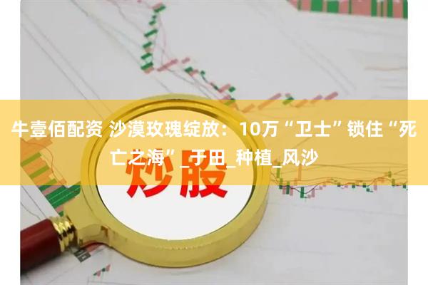 牛壹佰配资 沙漠玫瑰绽放：10万“卫士”锁住“死亡之海”_于田_种植_风沙