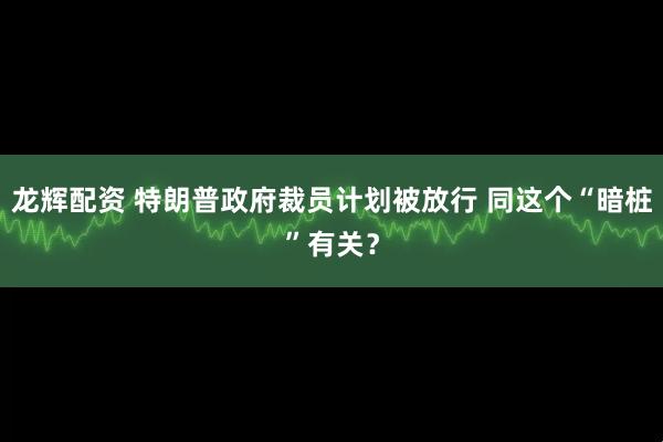 龙辉配资 特朗普政府裁员计划被放行 同这个“暗桩”有关？