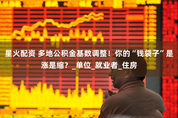 星火配资 多地公积金基数调整！你的“钱袋子”是涨是缩？_单位_就业者_住房