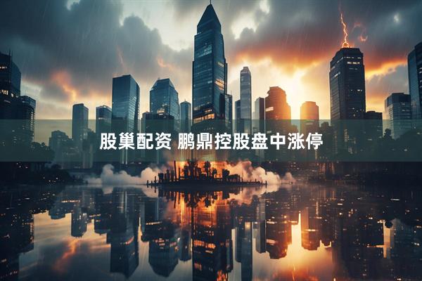 股巢配资 鹏鼎控股盘中涨停