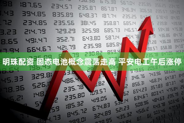 明珠配资 固态电池概念震荡走高 平安电工午后涨停