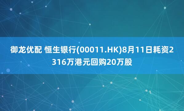 御龙优配 恒生银行(00011.HK)8月11日耗资2316万港元回购20万股